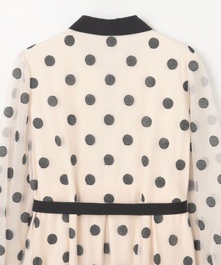 GRACE CONTINENTAL ラメドット刺繍ドレス キナリ