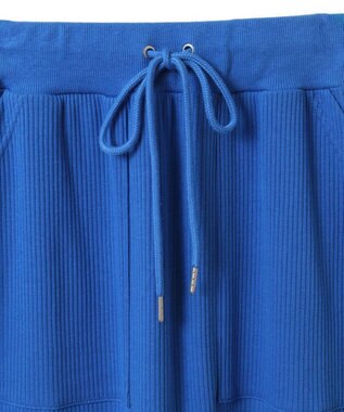 Green Parks Ｍｉｆｆｙ／カットリブＩラインスカート Blue