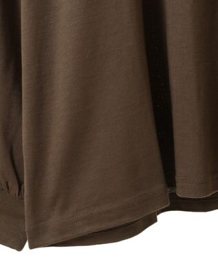 CRAFT STANDARD BOUTIQUE ラグランフロッキープリントＴｅｅ Brown