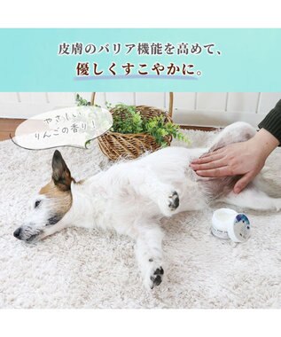 PET PARADISE ミネラルミューズ パウ＆スキンケアクリーム 50mL 青