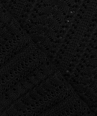 J.PRESS LADIES L 【洗える・抗菌防臭】コットンアセテート Vネック レーシー カーディガン ブラック系