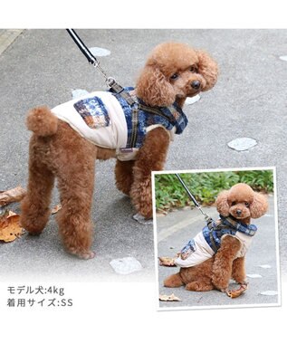 PET PARADISE ペットパラダイス アウター ハーネス ベスト 《チェック柄》 小型犬 チェック柄