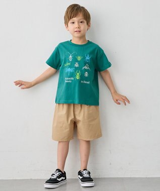 ANY KIDS 【洗濯機可能】昆虫プリント 半袖Tシャツ グリーン