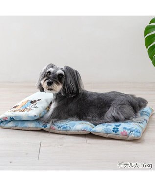 PET PARADISE スヌーピー クール ロールマット 《サーフ柄》 Ｍ ブルー系