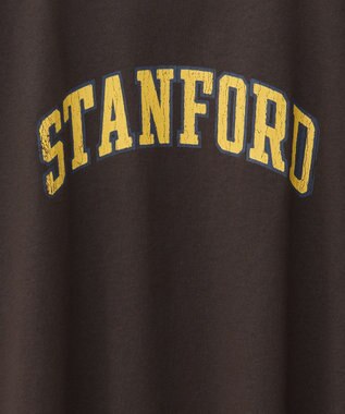 AMERICAN HOLIC STANFORD BIGプルオーバー Brown