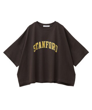 AMERICAN HOLIC STANFORD BIGプルオーバー Brown