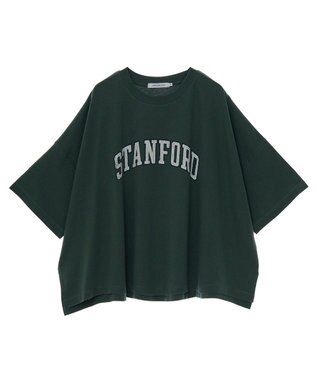 AMERICAN HOLIC STANFORD BIGプルオーバー Green