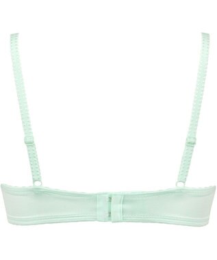 Wing Wing Lesiage　【2720シリーズ】ブラジャー　シアー感のあるラグジュアリーなデザイン　ウイング／ワコール　PB2720 メロン