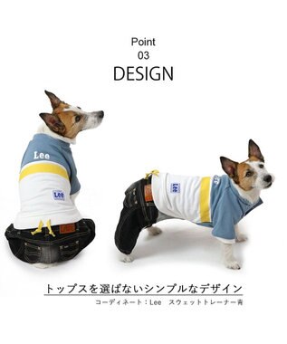 PET PARADISE Ｌｅｅ キャミソール ブラック デニム  パンツつなぎ 【小型犬】 ブラック