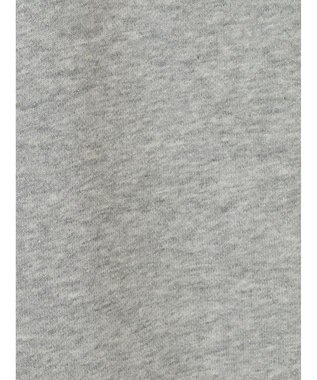 Green Parks ボートネックラメミニ裏毛プルオーバー Gray Mixture