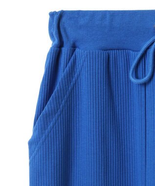 Green Parks Ｍｉｆｆｙ／カットリブＩラインスカート Blue