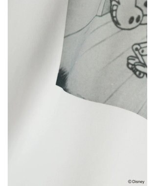 Green Parks オズワルド／ラインフォト半袖ＴＥＥ Off White