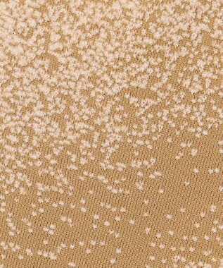 PW CIRCULUS 【手洗い洗濯可】 【WOMEN】グラデーションニットスカート ゴルフ レディース ベージュ系