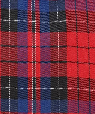 J.PRESS LADIES 【完全受注生産】ポーチ付き キャンバス トートバッグ ネイビー×レッドチェック系