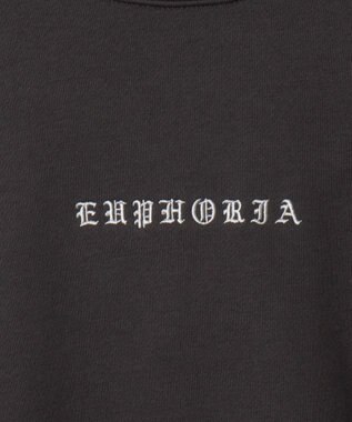 WEGO 【ユニセックス着用ITEM】アーチバックロゴグラフィックプルオーバー ブラック中濃色