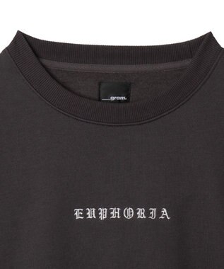 WEGO 【ユニセックス着用ITEM】アーチバックロゴグラフィックプルオーバー ブラック中濃色