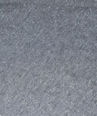 WEGO ショートZIPパーカー グレーその他