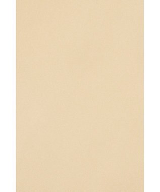 DAKS 【DAKS GOLF】ストリングブルゾン ベージュ