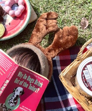 WEGO クリスマスイベントカチューシャ