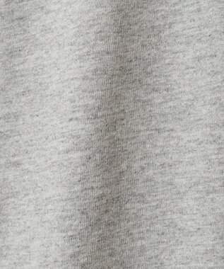 AMERICAN HOLIC BROOKLYN カレッジロゴBIGTシャツ Gray Mixture