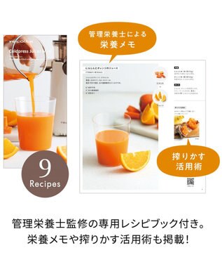 YAMATO テーブル＆キッチン 【レコルト】コールドプレスジューサーミニ  セージグリーン  RCJ-1(GE) グリーン