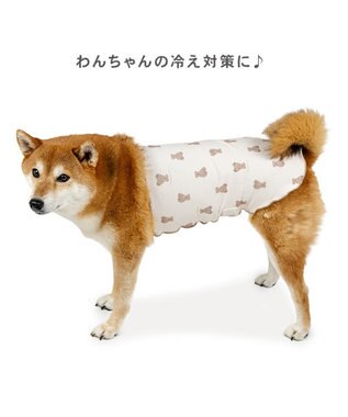 PET PARADISE ペットパラダイス くまちゃん ペティヒート 天竺 腹巻 小型犬 オフホワイト