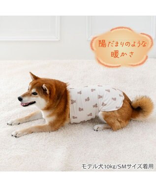 PET PARADISE ペットパラダイス くまちゃん ペティヒート 天竺 腹巻 小型犬 オフホワイト