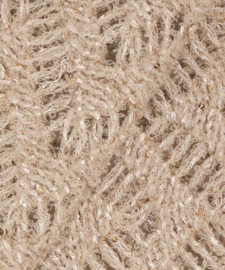 23区 【GOLD LABEL】シェニールレーススパングル クルーネック ニット モカ系