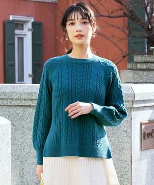 ANY SIS ケーブル ニット プルオーバー ダークグリーン