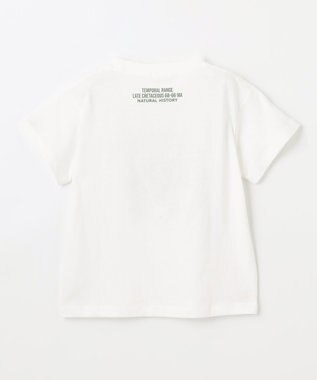 ANY KIDS 恐竜プリント 半袖 Tシャツ オフホワイト（トリケラトプス）