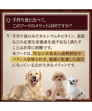 PET PARADISE  ペットパラダイス ドッグフード フローラ 1kg 国産 0