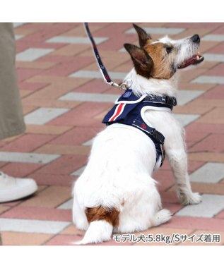 PET PARADISE J.PRESS ポケット付きハーネス ３Ｓ 小型犬 紺(ネイビー・インディゴ)