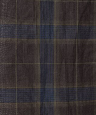 J.PRESS LADIES 【洗える】シアーマドラス バンドカラー ブラウス ダークブラウン系3