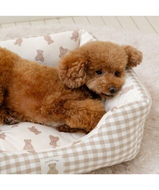 PET PARADISE ペットパラダイス くまちゃん カドラー  M《57×45cm》 オフホワイト×ブラウン