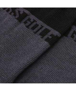 DAKS 【DAKS GOLF】綿混パイルソックス グレー