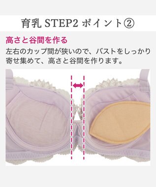 BRADELIS New York 【BRADELIS New York/ 育乳補整ブラ・STEP2 寄せる】ローズステップ2ブラ26S1 補正下着 しっかり谷間を作るブラ ライラック