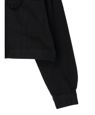 Green Parks ・Ｄｏｕｂｌｅ　Ｆｌａｇｓ　フリルカラージャケット Black