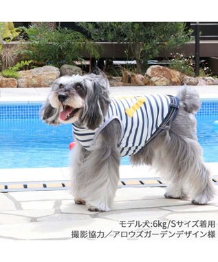 PET PARADISE  Ｌｅｅ エコメイド タンクトップ 《ボーダー柄》 小型犬 ボーダー柄