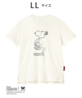 WACOAL PEANUTS トップス 4分袖 Tシャツ 綿100%(本体) スヌーピー レディース FTT168 /ワコール