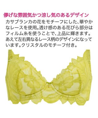 BRADELIS New York 【BRADELIS New York / 育乳補整ブラ・STEP1 集める】ジャスミンステップ1ブラ24A1 ライム