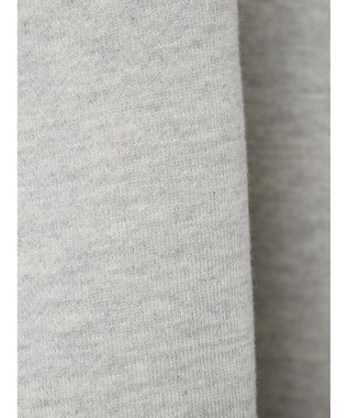 Green Parks Ｄｉｓｎｅｙ／裏起毛フロッキープリントスウェット Gray Mixture