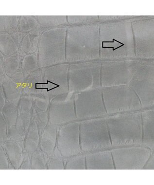 Regalo Felice 【お財布機能付き / 人気商品がリニューアル】ポシェット / REGALO DGY(ダークグレー)