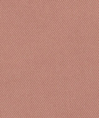 ANY KIDS ドリームストレッチ裏起毛 パンツ ピンク