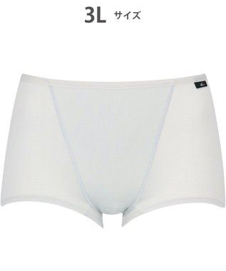 CW-X 【WOMEN】 CW-X スポーツショーツ 吸汗速乾性(本体) 抗菌防臭性(本体) メッシュ素材 はきこみ丈ふつう レディース HSY320 /ワコール