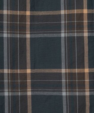 J.PRESS LADIES 【洗える】シアーマドラス バンドカラー ブラウス ダークグリーン系3