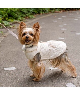 PET PARADISE ペットパラダイス 花柄キルト エアベスト  超小型犬 小型犬 ベージュ