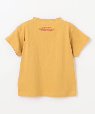 ANY KIDS 恐竜プリント 半袖 Tシャツ マスタード（ティラノサウルス）