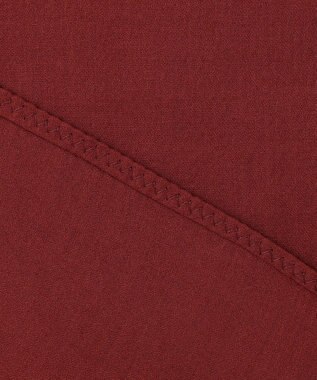 23区 【SLOW/一部店舗限定】テンセルコットンジョーゼット フリル ブラウス ワイン系