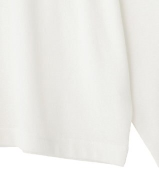 CRAFT STANDARD BOUTIQUE フラワープリントシアーロンTee Blue