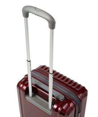 ACE BAGS & LUGGAGE ace. パリセイドZd 機内持ち込み Sサイズ 35～40L 06816 エース レッド